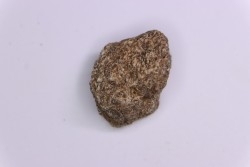 scute de dinosaure :  Sauropelta  edwardsorum  (Ankylosaurien) - Crétacé Inférieur - CLOVERLY Fmt,  Bighorn Co, Wyoming, USA
