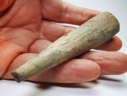 Mammoth ivory - Alaska, USA