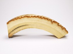 Mammoth ivory - Alaska, USA