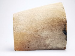 Mammoth ivory - Alaska, USA