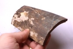 Mammoth ivory - Alaska, USA