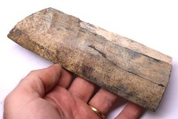 Mammoth ivory - Alaska, USA