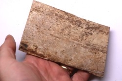 Mammoth ivory - Alaska, USA