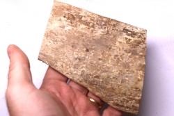 Mammoth ivory - Alaska, USA