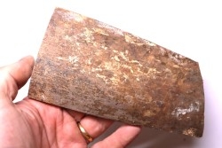 Mammoth ivory - Alaska, USA