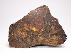 Meteorite Ordinary Chondrite L6, Western Sahara