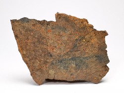 Météorite Chondrite ordinaire, Sahara Occidental