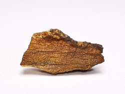 Meteorite Enstatite Chondrite, Al Haggounia, Western Sahara