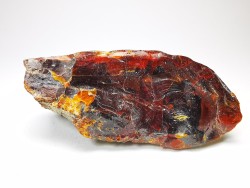 AMBER from Albian of Provence – FRANCE