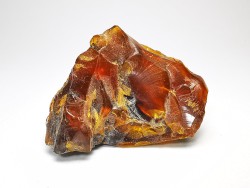 AMBER from Albian of Provence – FRANCE