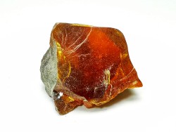 AMBER from Albian of Provence – FRANCE