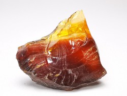 AMBER from Albian of Provence – FRANCE