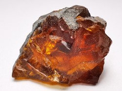 AMBER from Albian of Provence – FRANCE
