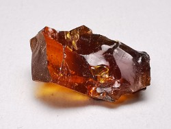 AMBER from Albian of Provence – FRANCE