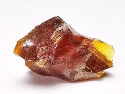AMBER from Albian of Provence – FRANCE