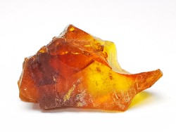 AMBER from Albian of Provence – FRANCE