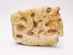 Crocodile Scute from Cretaceous of Khouribga - Morocco