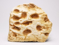 Crocodile Scute from Cretaceous of Khouribga - Morocco