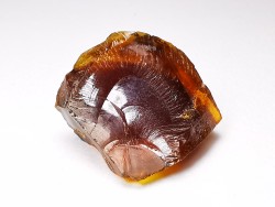 AMBER from Albian of Provence – FRANCE