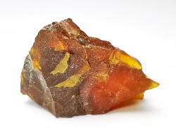 AMBER from Albian of Provence – FRANCE
