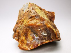 AMBER from Albian of Provence – FRANCE