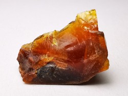 AMBER from Albian of Provence – FRANCE