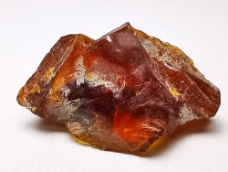 AMBER from Albian of Provence – FRANCE