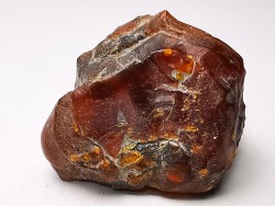 AMBER from Albian of Provence – FRANCE