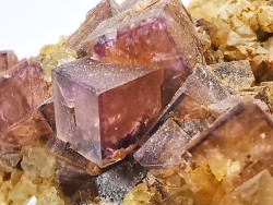 Fluorite from Clersanges, Saint-Pal-de-Senouire, Haute-Loire, France