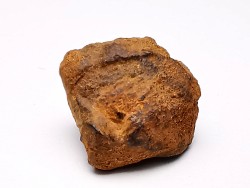 Météorite: SIDERITE iron IVA - GIBEON