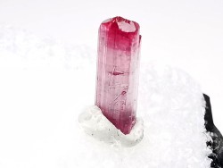 Tourmaline du Brésil