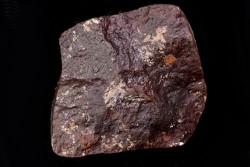 METEORITE  Ordinary chondrite NWA