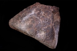 METEORITE  Ordinary chondrite NWA