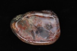 coprolithe de dinosaure poli - jurassique - Morrison Formation