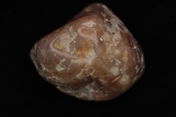 dinosaur coprolithe - jurassic - Morrison Formation