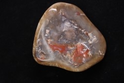 dinosaur coprolithe - jurassic - Morrison Formation