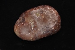 dinosaur coprolithe - jurassic - Morrison Formation