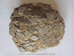 DINOSAUR EGG from france