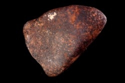 METEORITE  Ordinary chondrite NWA