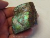 AMMOLITE (3)