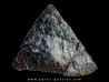 AMMOLITE (4) AMMOLITE (4)