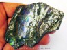 AMMOLITE (5) AMMOLITE (5)
