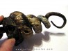 Didymoceras stevensoni Didymoceras stevensoni