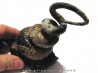 Didymoceras stevensoni Didymoceras stevensoni