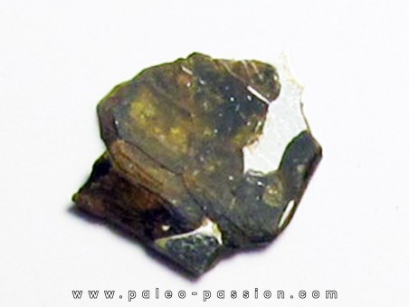 METEORITE pallasite seymcham (4)