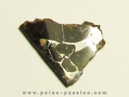 METEORITE pallasite seymcham (11)