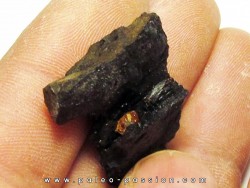wood with amber inclusion (3)
