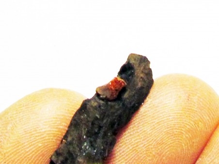 wood with amber inclusion (8)