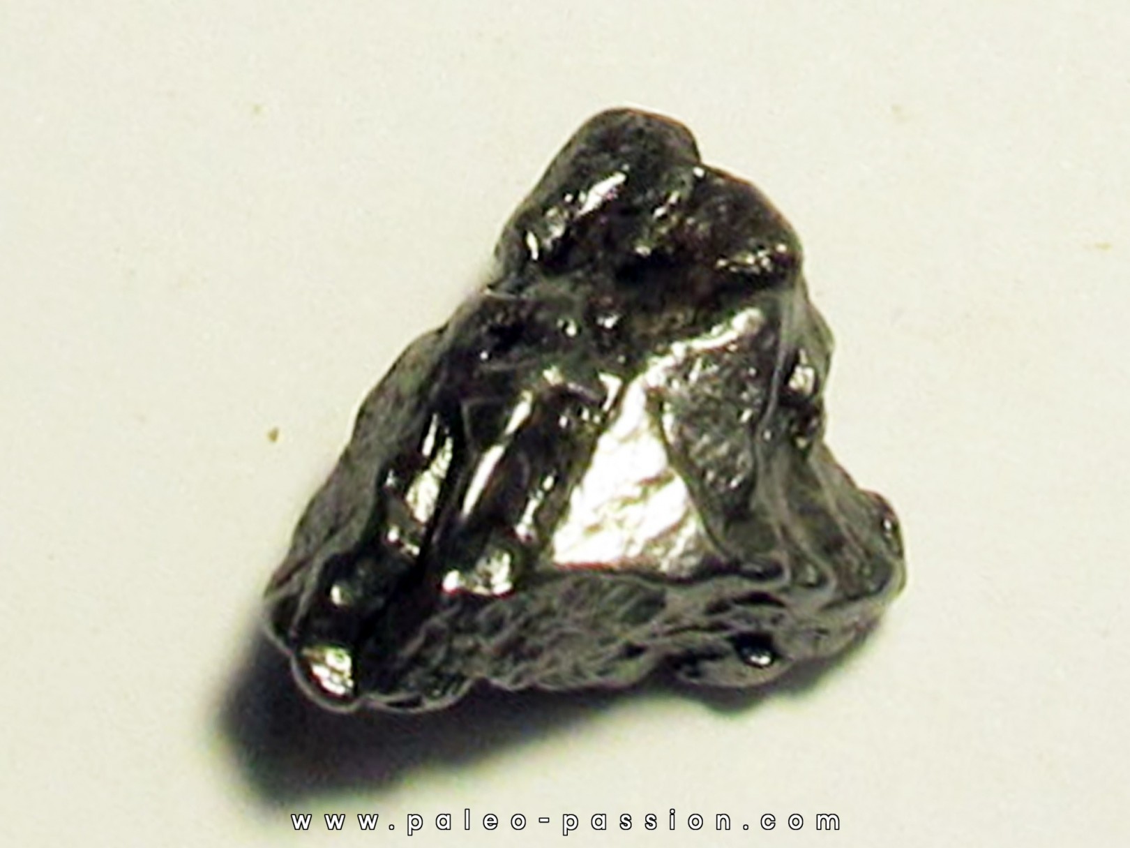 METEORITE  Campo del Cielo (CDC7) 