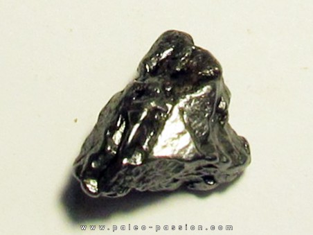 METEORITE  Campo del Cielo (CDC7) 